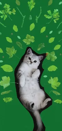 Cat Green Vertebrate Live Wallpaper
