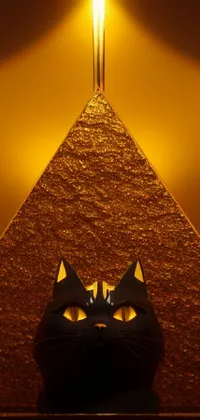 This phone live wallpaper features a stunning black cat sitting in front of a striking pyramid