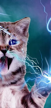 This live wallpaper features a close-up image of a cat with lightning bolts emanating from its mouth