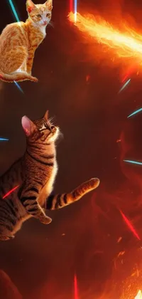 This phone live wallpaper is a stunning portrayal of a flying cat in a magical world