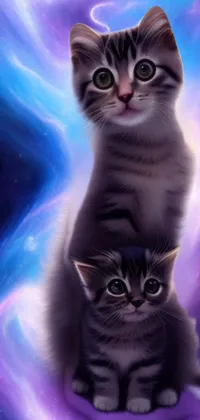 This phone live wallpaper features two adorable cats sitting next to each other in a portrait