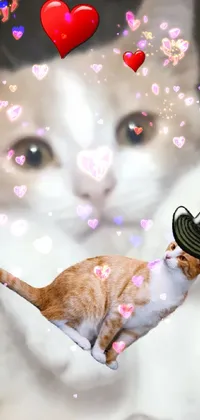 This live wallpaper depicts a playful cat enjoying a slice of pizza