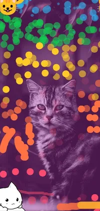 This live phone wallpaper features a colorful photo of a cat sitting before a window