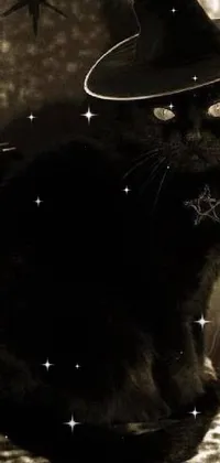 Cat Light Felidae Live Wallpaper