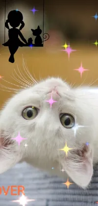 This live wallpaper features a charming white cat resting on a white towel amidst a kitschy soft play of colors