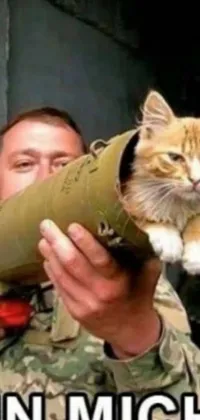 Cat Military Camouflage Camouflage Live Wallpaper