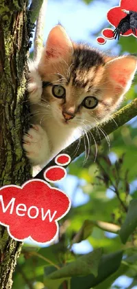 This live wallpaper features an adorable cat sitting in a tree, captured in a high-quality photo
