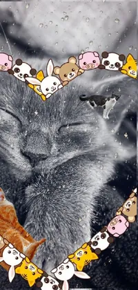 Cat Organism Carnivore Live Wallpaper