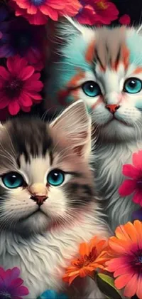 Cat Photograph Flower Live Wallpaper