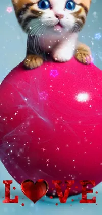 This adorable live wallpaper features a charming kitten sitting on top of a red ball