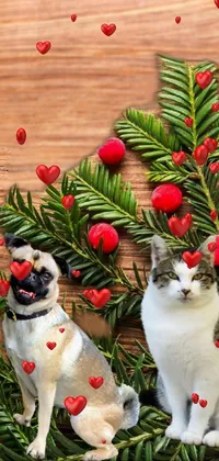 Cat Plant Christmas Ornament Live Wallpaper