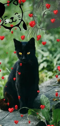 This live wallpaper features a captivating image of a sleek black cat sitting on a wooden log in the heart of a vibrant forest