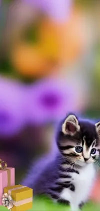 This live wallpaper of a playful kitten sitting on a lush green field is a delightful addition to your phone's screen
