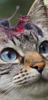 This phone live wallpaper features an incredibly lifelike image of a blue Siberian forest cat with a small bird on its head