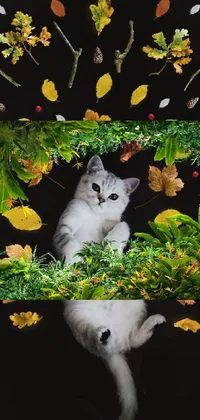 This phone live wallpaper showcases a beautiful photorealistic painting of a cat laying in the grass