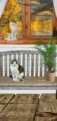 Cat Plant White Live Wallpaper