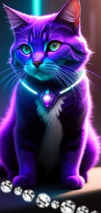 Cat Purple Blue Live Wallpaper