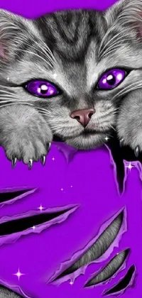 Cat Purple Cartoon Live Wallpaper