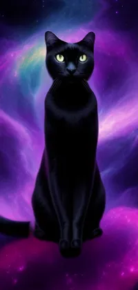 This phone live wallpaper features a furry black cat sitting on top of a pink portrait, set against a mesmerizing outer space nebula background