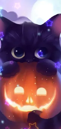 This live wallpaper is ideal for Halloween lovers and cat enthusiasts! The wallpaper features a black cat sitting atop a pumpkin in a cute and charming style