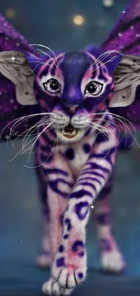 Cat Purple Felidae Live Wallpaper
