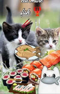 Cat Vertebrate Carnivore Live Wallpaper