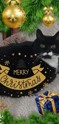 Cat Vertebrate Christmas Tree Live Wallpaper