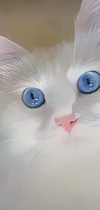 Cat Vertebrate Eyelash Live Wallpaper