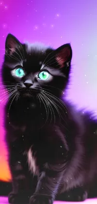 Get ready to add a charming and playful touch to your phone's display with this black cats live wallpaper