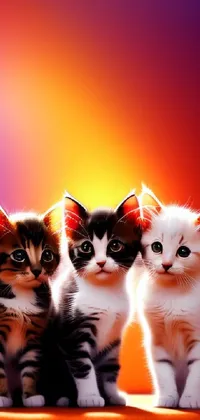 This colorful live wallpaper features three fluffy kittens sitting on a table against a red, photorealistic background