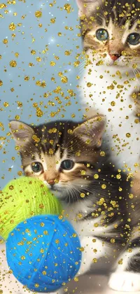 Add a playful touch to your phone with this cute live wallpaper showing two kittens playing with a ball of yarn