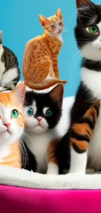 This lively phone live wallpaper showcases a group of furry cats relaxing on a pink cat bed