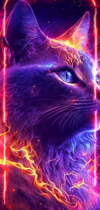 Cat Vertebrate Light Live Wallpaper