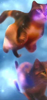 2 Cats Flying Live Wallpaper