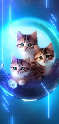 This phone live wallpaper showcases a charming image of two felines nestled inside of a bubble