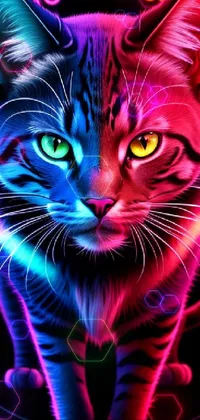 Cat Vertebrate Light Live Wallpaper - free download