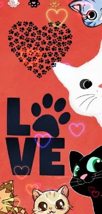 Cat Vertebrate Organism Live Wallpaper