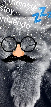 Cat Vertebrate Sunglasses Live Wallpaper
