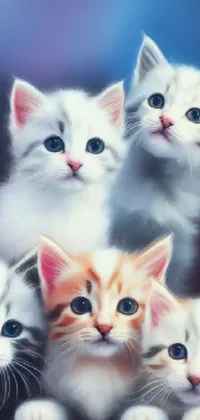 Cat Vertebrate White Live Wallpaper