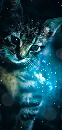 Cat Water Felidae Live Wallpaper