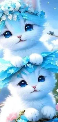 Sky blue hot sale cat