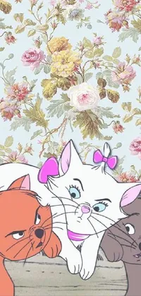 Cat White Flower Live Wallpaper