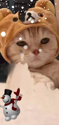 Download Fluffy Cartoon Cute Cat PFP Wallpaper