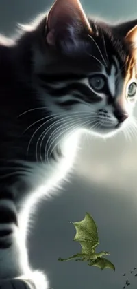 This stunning live wallpaper showcases an adorable cat standing on top of a rock next to a leaf