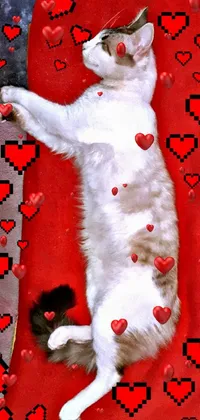 This phone live wallpaper features a pixel art cat relaxing on top of a bold red blanket, surrounded by pixelated hearts