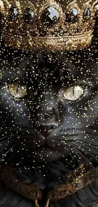 Cat Window Eye Live Wallpaper