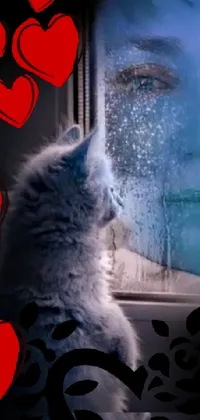 Cat Window Felidae Live Wallpaper