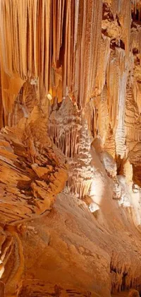Cave Formation Wood Live Wallpaper