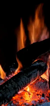Charcoal Fire Flame Live Wallpaper