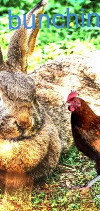 This phone live wallpaper features a cute rabbit next to a chicken in a delightful scene